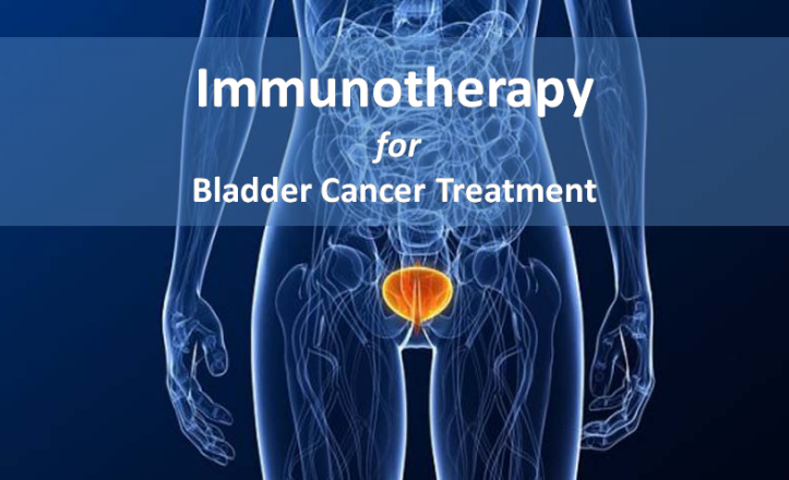 Immunotherapy for Bladder Cancer Treatment Cancer Healer