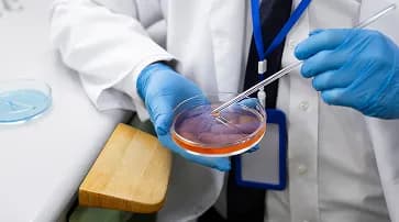 Stem cell transplantation: