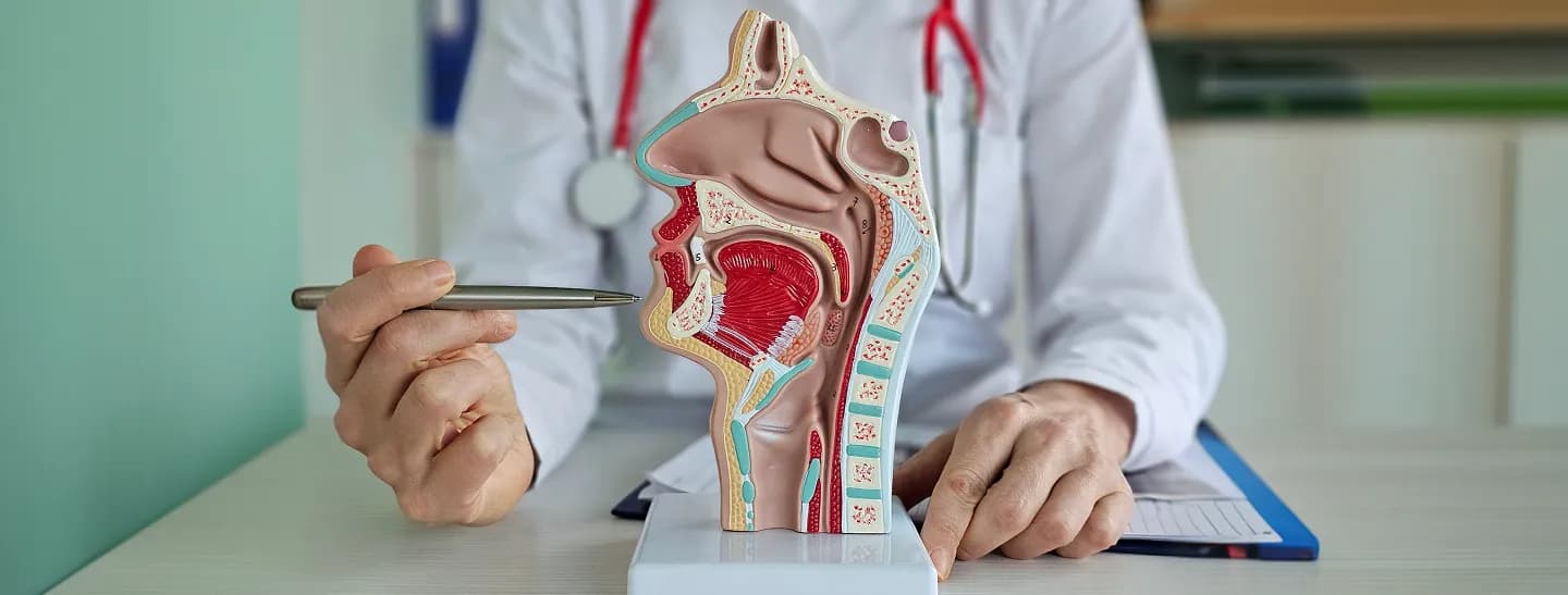 Tonsil Cancer: Diagnosis, Treatment and Supportive Care