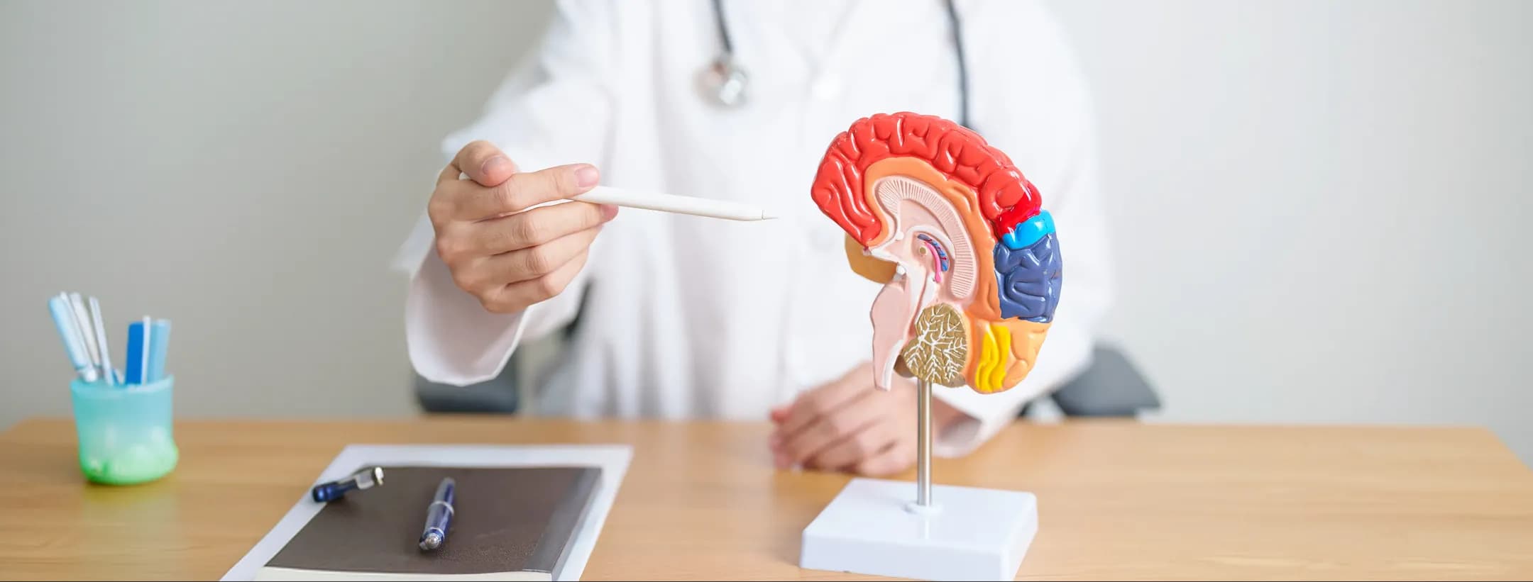 Supportive Care for Every Step of Your Brain Cancer Treatment