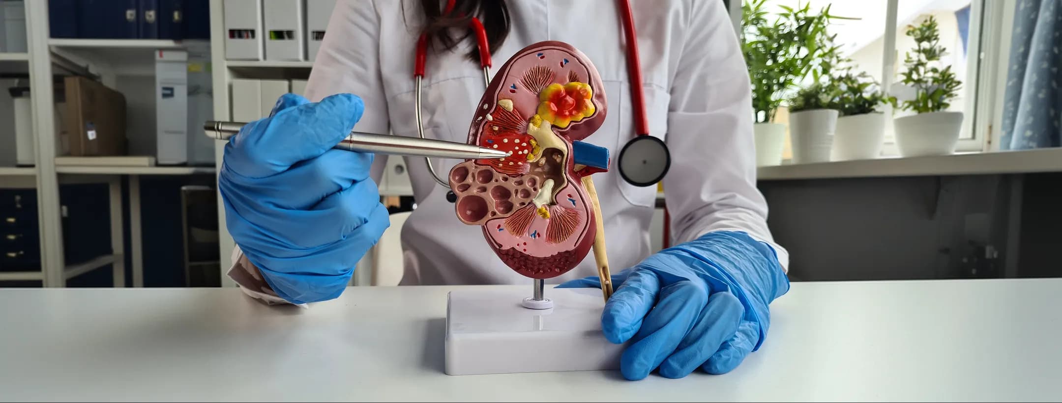 Supportive Care for Every Step of Your Kidney Cancer Treatment