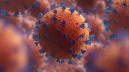 Targeted therapy and immunotherapy: