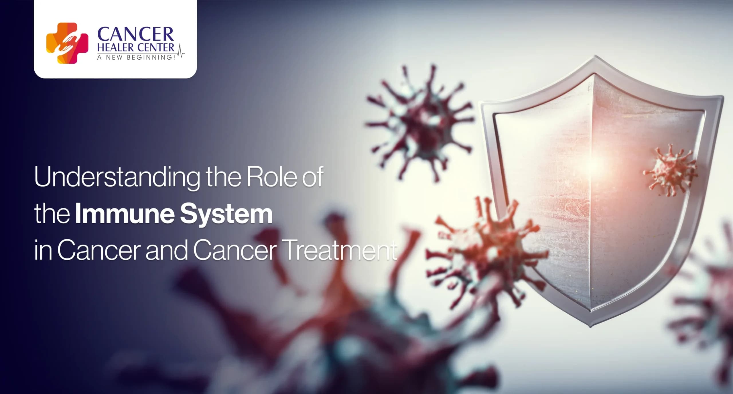 Understanding the Role of the Immune System in Cancer and Cancer Treatment