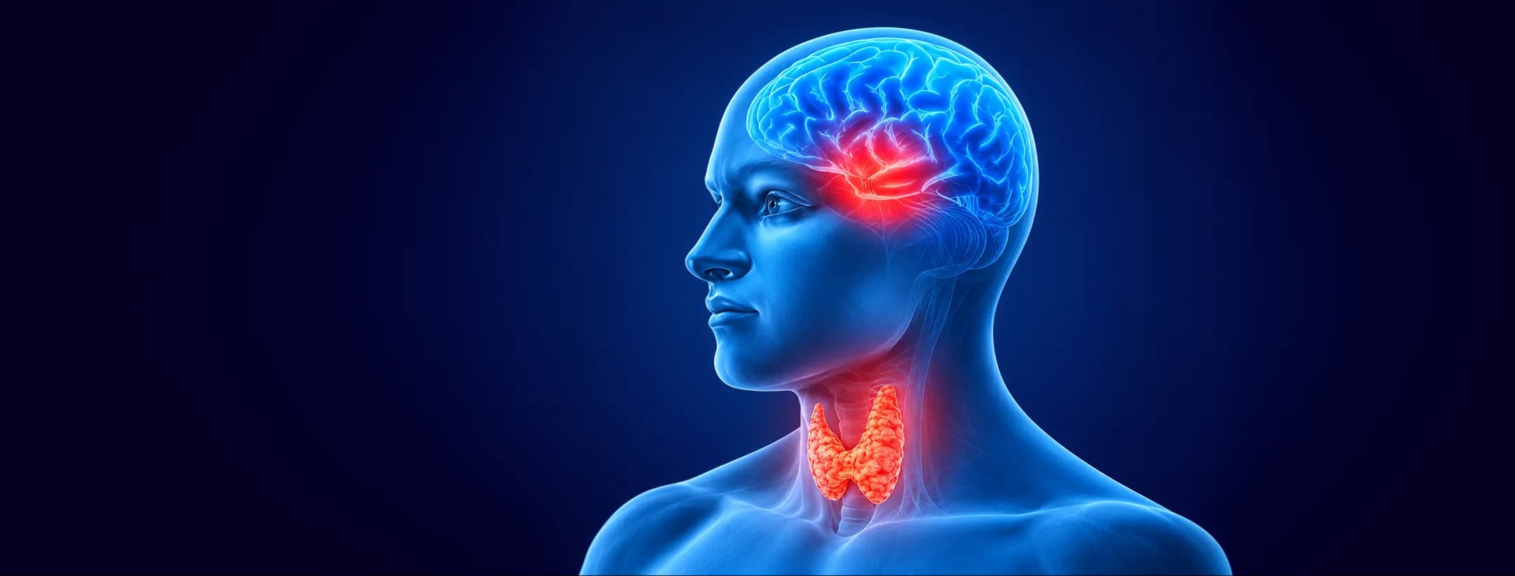 Personalised Support Throughout Your Head and Neck Cancer Treatment in India